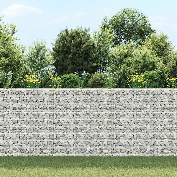 vidaXL Lits surélevés en gabion 3 pcs 30x30x150 cm Fer