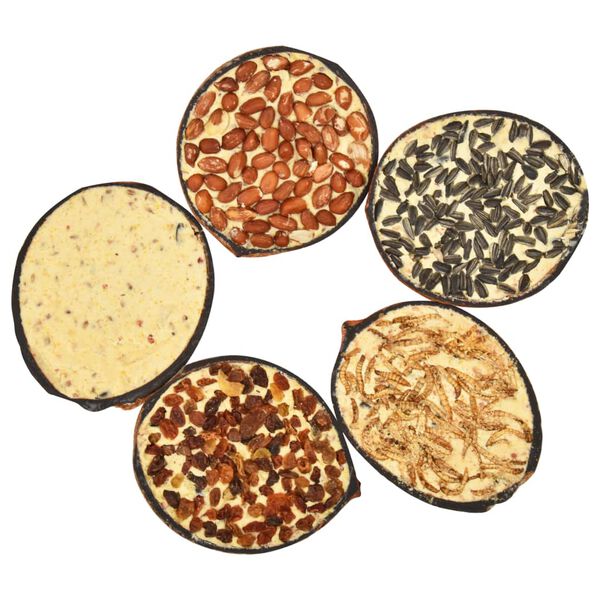 vidaXL Moitiés de noix de coco de nourriture d'oiseaux 10 pcs 290 g