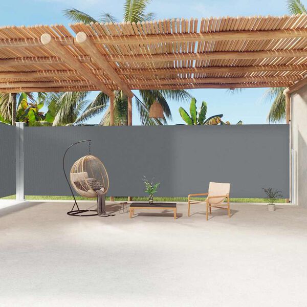 vidaXL Auvent lat&eacute;ral r&eacute;tractable Anthracite 220x1200 cm