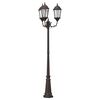 vidaXL Lumi&egrave;re de jardin Bronze 61 x 53 x 235 cm Aluminium et verre