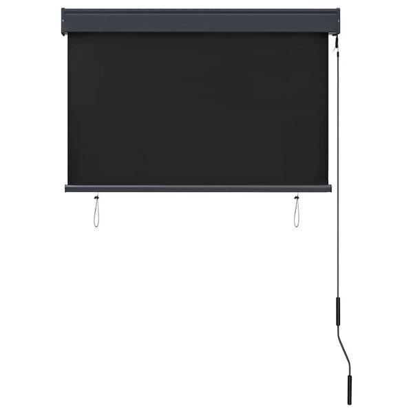vidaXL Store roulant d'ext&eacute;rieur 100 x 250 cm Anthracite