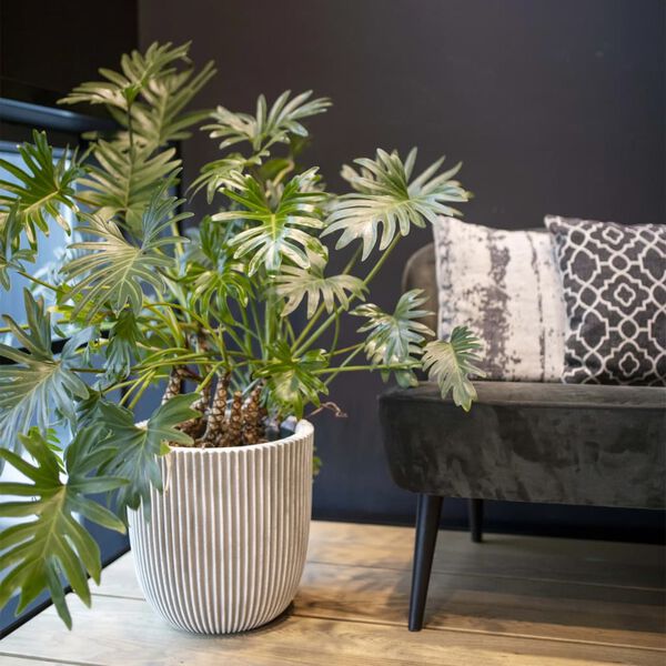 Capi Jardini&egrave;re Groove 43x41 cm ivoire