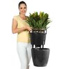 LECHUZA Jardini&egrave;re CLASSICO LS 43 ALL-IN-ONE charbon m&eacute;tallis&eacute; 16083