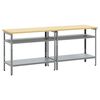 vidaXL Ensemble d'&eacute;tabli R&eacute;glable 2 pcs Gris 200 x 55 x 85 cm Acier