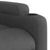 vidaXL Fauteuil inclinable Gris fonc&eacute; Tissu