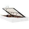 vidaXL Lit avec rangement et matelas Blanc 120 x 200 cm Simili cuir