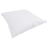 vidaXL Duvet d'&eacute;t&eacute; simple avec oreiller 2 pcs Blanc Plume de canard