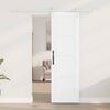 vidaXL Porte coulissante ORKDAL Blanc 61 x 198,5 cm Pin massif