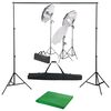 vidaXL Kit de studio photo avec ensemble d'&eacute;clairage et toile de fond