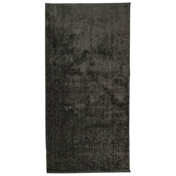 vidaXL Tapis ISTAN &agrave; poils longs aspect brillant anthracite 100x200 cm