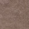 vidaXL Tapis de bain antid&eacute;rapant Marron 50 x 80 cm PP