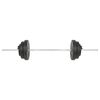 vidaXL Barre d'halt&egrave;res avec plaques 60 kg