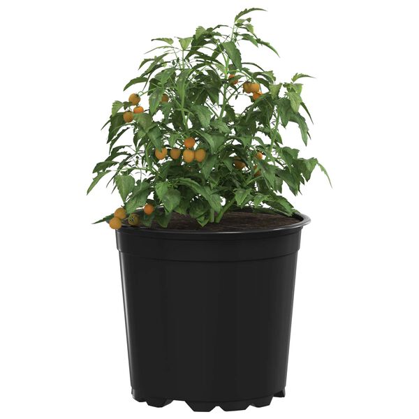vidaXL Pot &agrave; fleurs 200 pcs Noir &Oslash; 15 x 13 cm Plastique