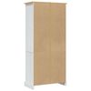 vidaXL Placard Gamme Corona Pin mexicain Blanc 80x40x170 cm