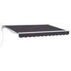 vidaXL Cadre d'auvent Anthracite 300 x 200 cm