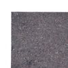 vidaXL Polaires de peintre antid&eacute;rapantes 2 pcs 10 m 220 g/m&sup2; gris