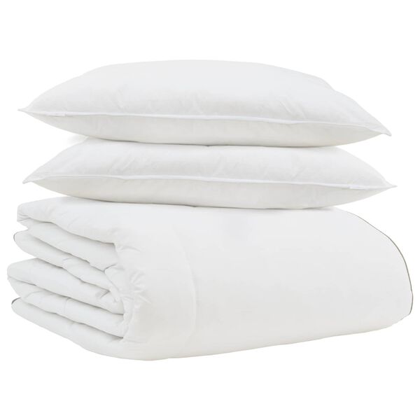 vidaXL Duvet d'hiver avec oreiller 3 pcs Blanc Plume de canard