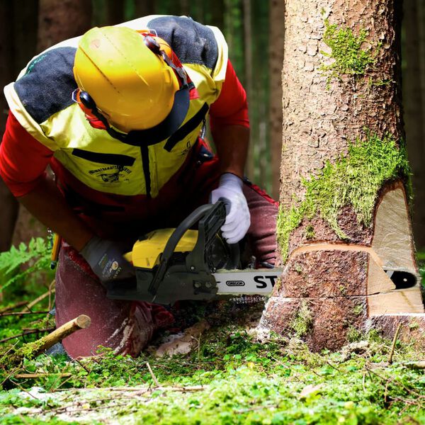 Stanley Tron&ccedil;onneuse &agrave; essence 1800 W