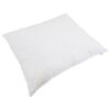 vidaXL Duvet d'hiver avec oreiller 2 pcs Blanc Plume de canard