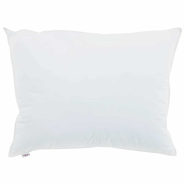 vidaXL Oreiller avec oreiller 2 pcs Blanc 40 x 60 cm Coton