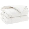 vidaXL Couette FULDA 200 x 200 cm Hiver 300 GSM 90% duvet de canard