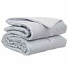 vidaXL Duvet complet toute l'ann&eacute;e 240 x 260 cm 300 gsm Argent&eacute;