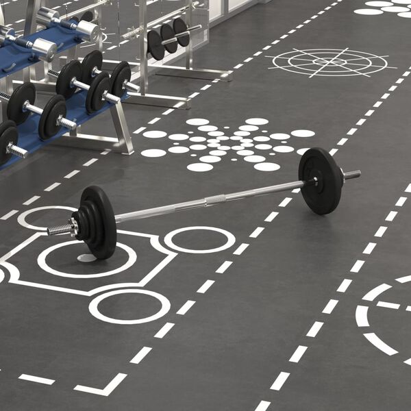 vidaXL Ensemble d'halt&egrave;res avec plaques 30 kg fonte