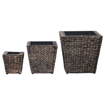 vidaXL Lits surélevés 3 pcs Jacinthe d'eau Marron