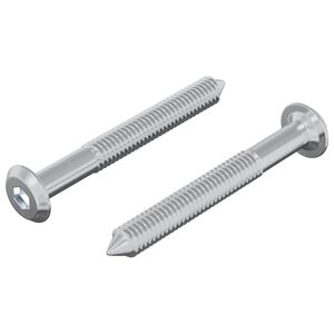 vidaXL Vis 2 pcs Argent&eacute; M6 x 50 mm Acier