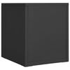 vidaXL Armoire de bureau Anthracite 28x35x35 cm M&eacute;tal
