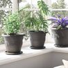vidaXL Pots de plantes 6 pcs Noir &Oslash; 26 x 21.5 cm Plastique