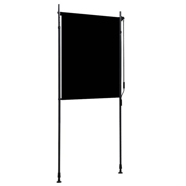 vidaXL Store roulant d'ext&eacute;rieur 100 x 270 cm Anthracite