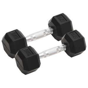 vidaXL Halt&egrave;res 2 pcs 5 kg Total Fonte