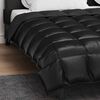vidaXL Duvet d'hiver Noir 200 x 200 cm Satin et Microfibre