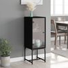 vidaXL Armoire lat&eacute;rale avec porte en verre noir 35x37x100 cm