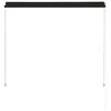 vidaXL Auvent rétractable 150x150 cm Anthracite