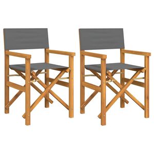 vidaXL Chaises de metteur en sc&egrave;ne pliantes lot de 2 Bois teck massif