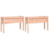 vidaXL Jardini&egrave;res 2 pcs avec pieds bois massif douglas