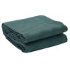 vidaXL Tapis de tente Vert 300 x 200 cm Polyester
