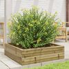 vidaXL Jardini&egrave;re 80x80x23 cm bois de pin impr&eacute;gn&eacute;