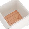 vidaXL Jardinières d'extérieur 2 pcs Blanc 40x40x40 cm Bois de pin