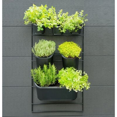 Nature Kit mural de jardin vertical