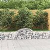 vidaXL Paniers &agrave; gabions arqu&eacute;s 18 pcs 200x30x40/60 cm Fer galvanis&eacute;