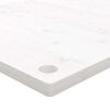 vidaXL Dessus de bureau blanc 100x60x2,5 cm bois massif de pin