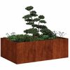 vidaXL Jardini&egrave;re rouill&eacute; 120x80x40 cm acier inoxydable