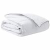 vidaXL Duvet d'hiver 260 x 220 cm Hiver Plume Blanc Respirant