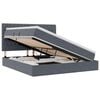 vidaXL Lit avec rangement et matelas Gris fonc&eacute; 160 x 200 cm Velours