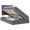vidaXL Lit de rangement LED avec matelas Gris fonc&eacute; 120 x 190 cm