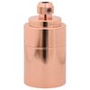 vidaXL Douilles de lampe 2 pcs bronze or rose E27