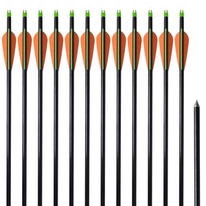 vidaXL Fl&egrave;che d'arc &agrave; poulies standard 12pcs 30" 0,8 cm fibre de verre